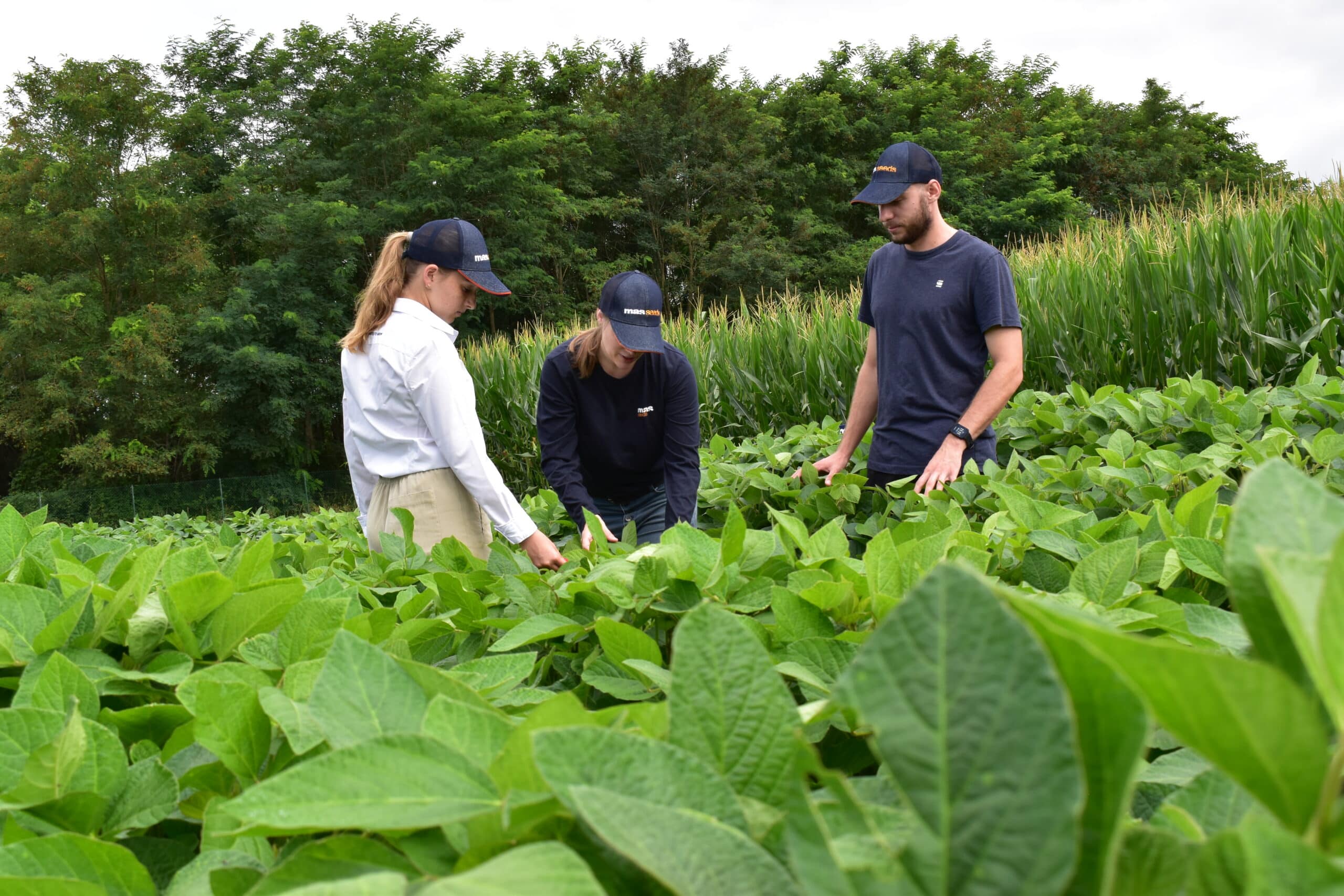 agroecological-transition-manager-m-f-mas-seeds-s-a