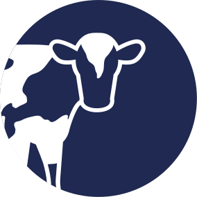 Silage, Biogas